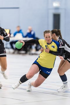 Bild 47 - F HSG Pinnau2 - Rellinger TV2 : Ergebnis: 27:20